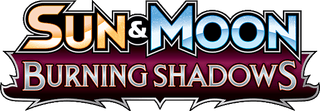 Burning Shadows logo